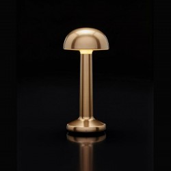 Table Light Imagilights Led Wireless Collection Moments Bronze Dome